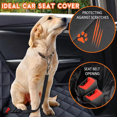 Travel with Confidence, Keep Your Dog Happy!